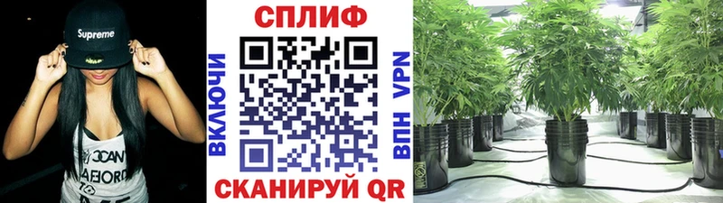 Купить наркоту Серпухов Марихуана  Alpha-PVP  ГАШИШ  Амфетамин  МЕТАДОН  МЕФ 