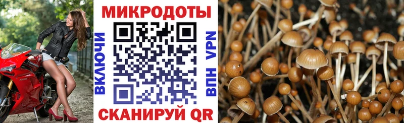omg ONION Серпухов Псилоцибиновые грибы GOLDEN TEACHER