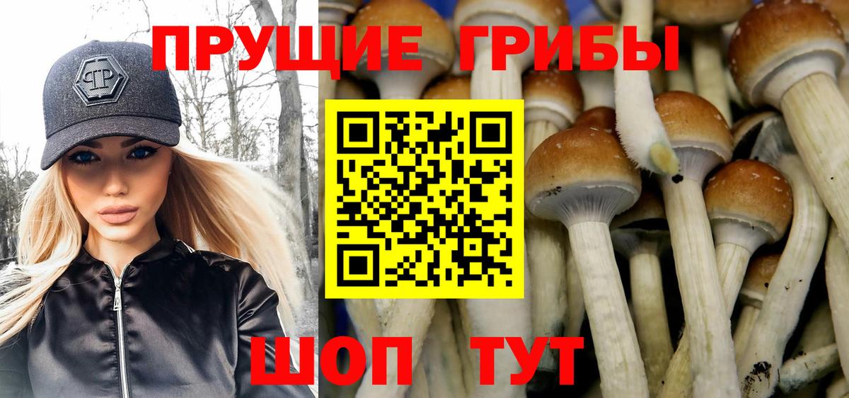 Псилоцибиновые грибы Psilocybe  купить закладку  Серпухов  Вход с VPN 