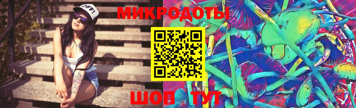 Псилоцибиновые грибы мухоморы Серпухов